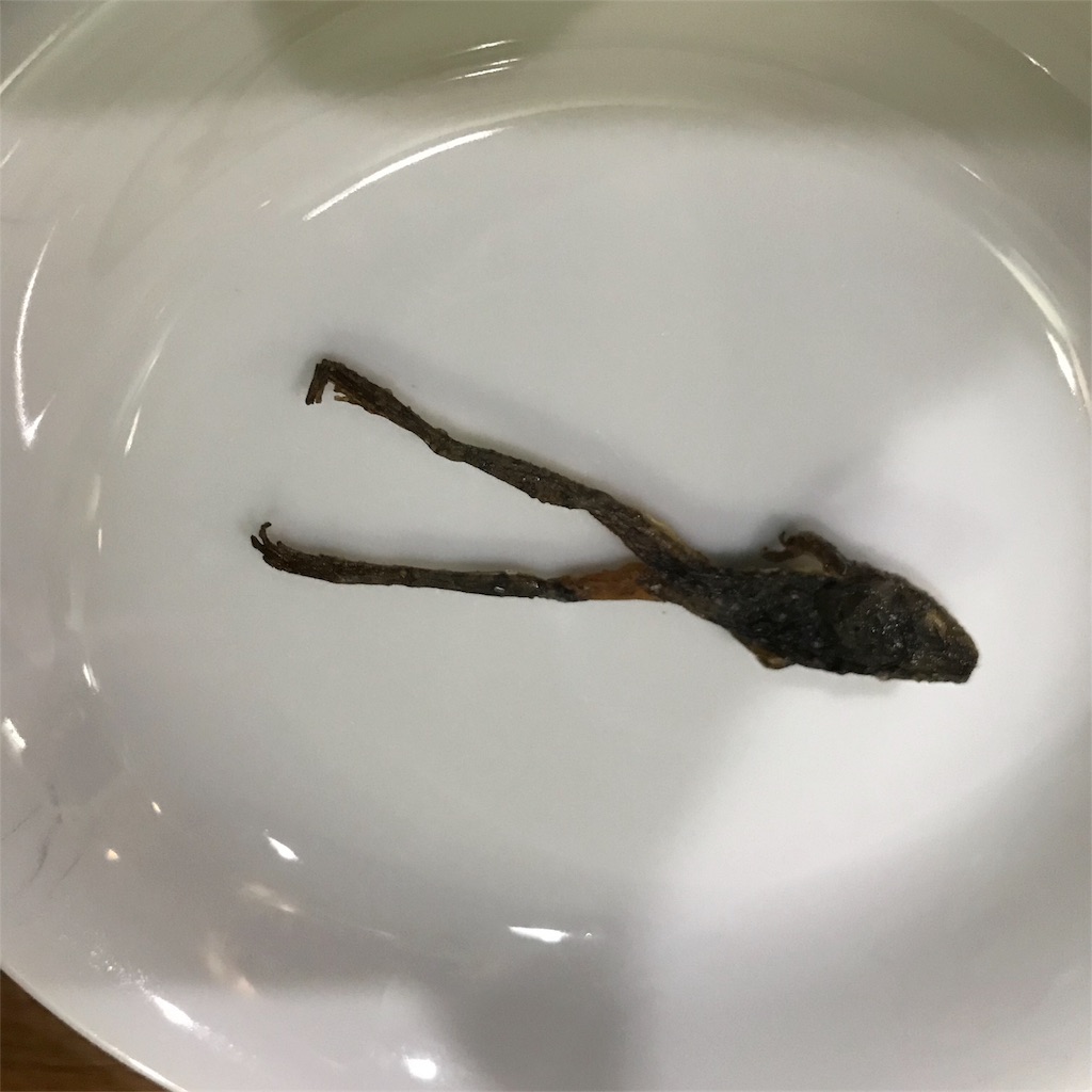 f:id:asquita:20180821131208j:image