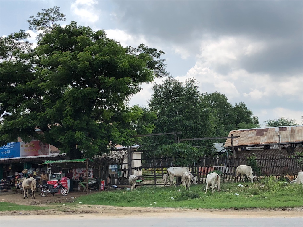 f:id:asquita:20181023075708j:image f:id:asquita:20181023075708j:image