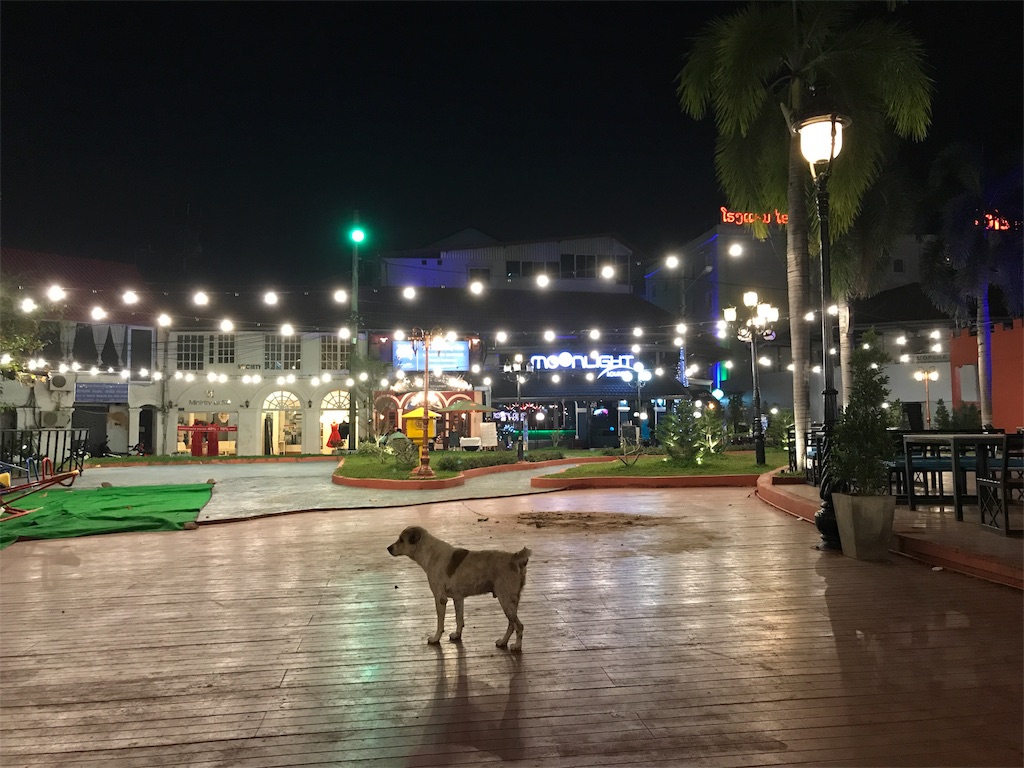 f:id:asquita:20181112094048j:image