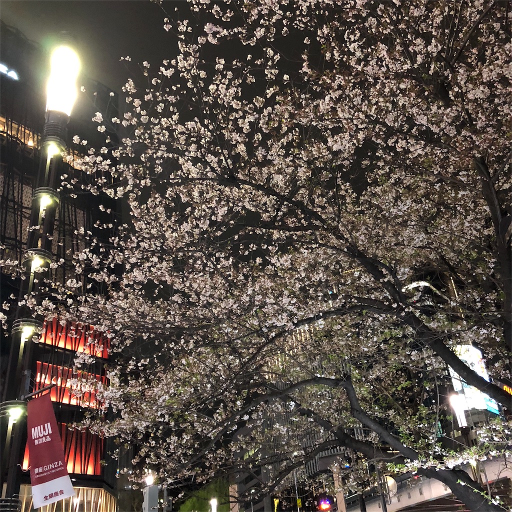 f:id:asquita:20190418224046j:image