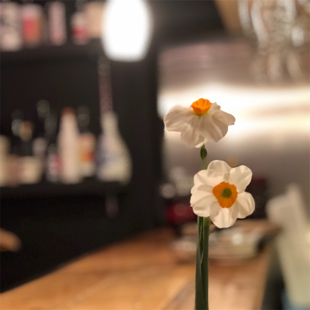 f:id:asquita:20190418224103j:image