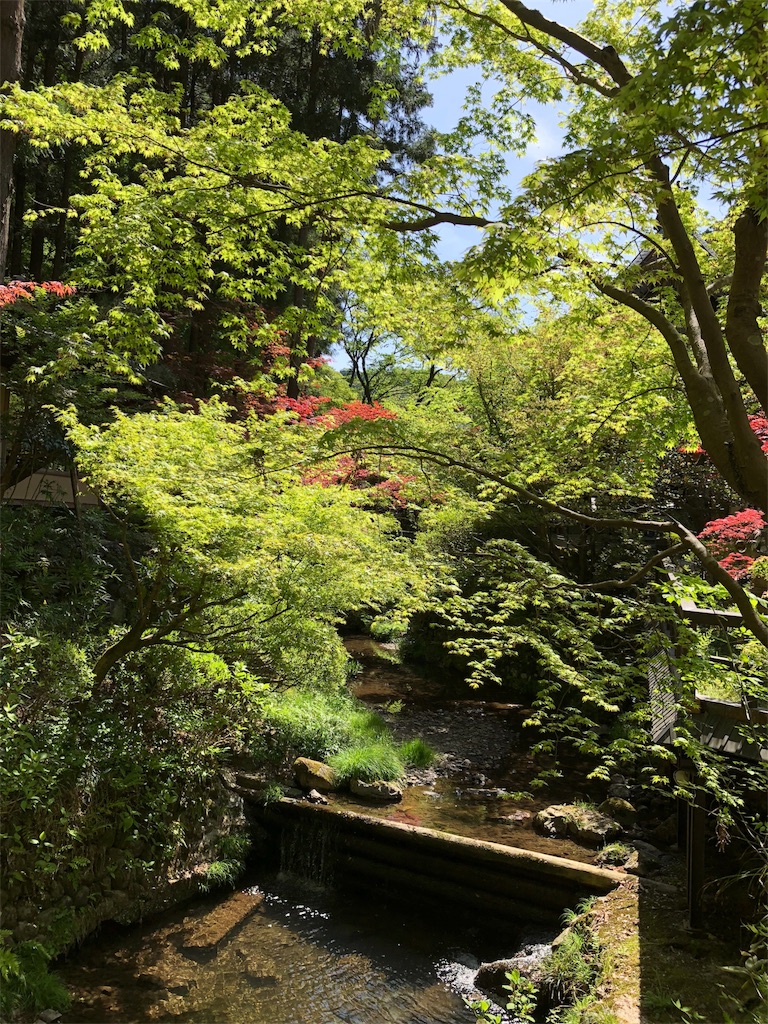 f:id:asquita:20190430220248j:image