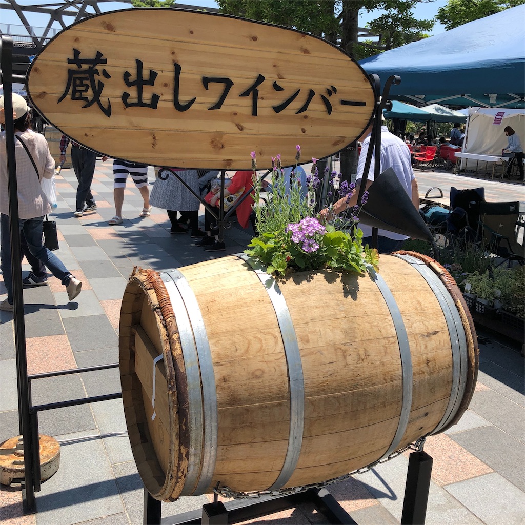 f:id:asquita:20190526075844j:image