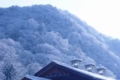 たぶん広島県