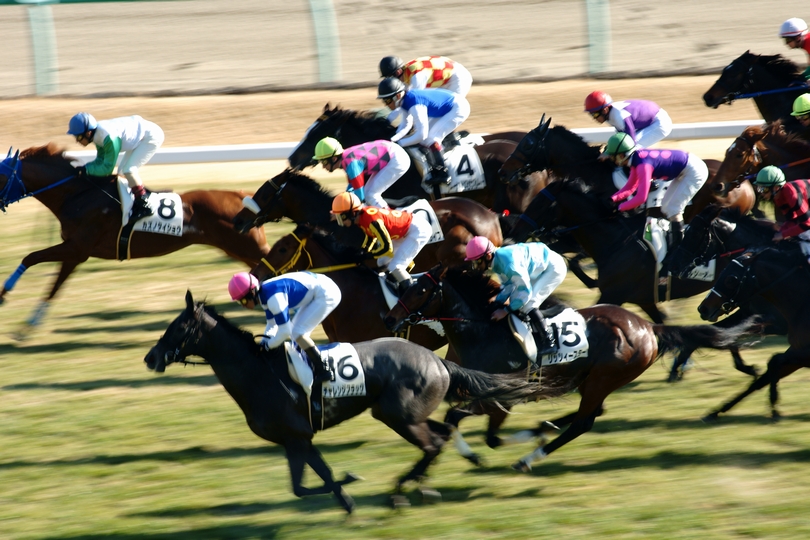 中山競馬場