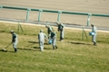 中山競馬場