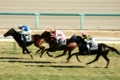 中山競馬場
