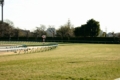 中山競馬場