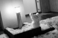 20110215005725