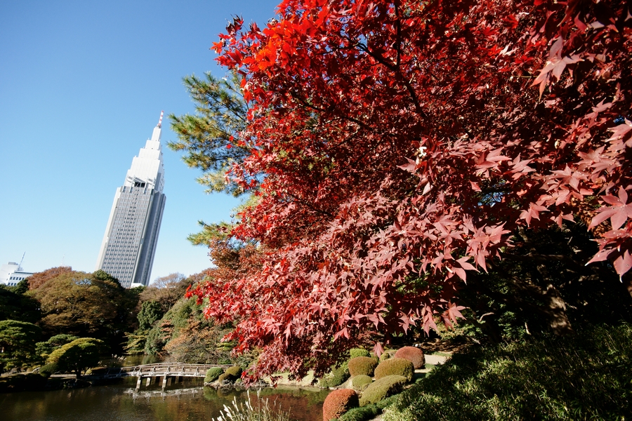 新宿御苑　紅葉