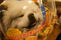 奥入瀬渓流ホテル