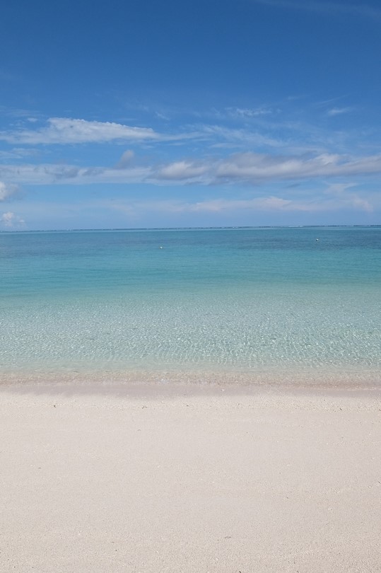 f:id:asry:20140901100609j:image f:id:asry:20140901100609j:image