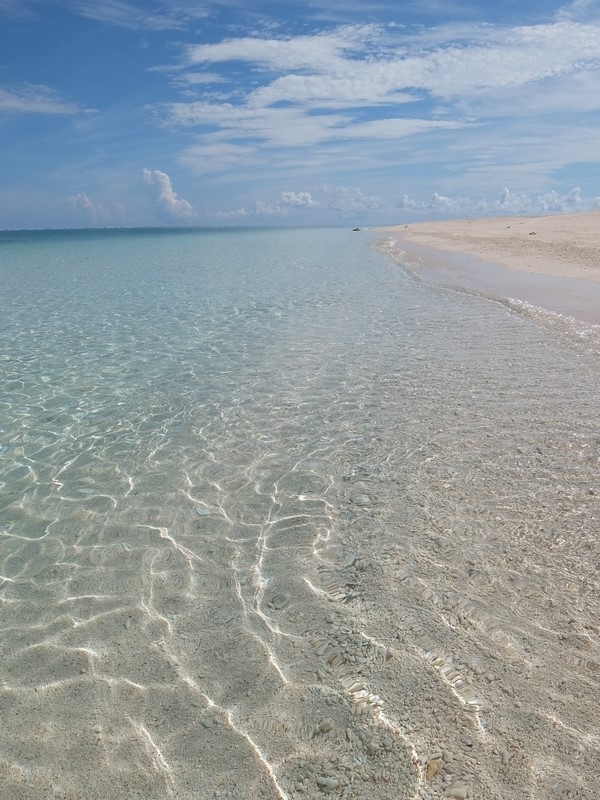 f:id:asry:20140901100730j:image f:id:asry:20140901100730j:image