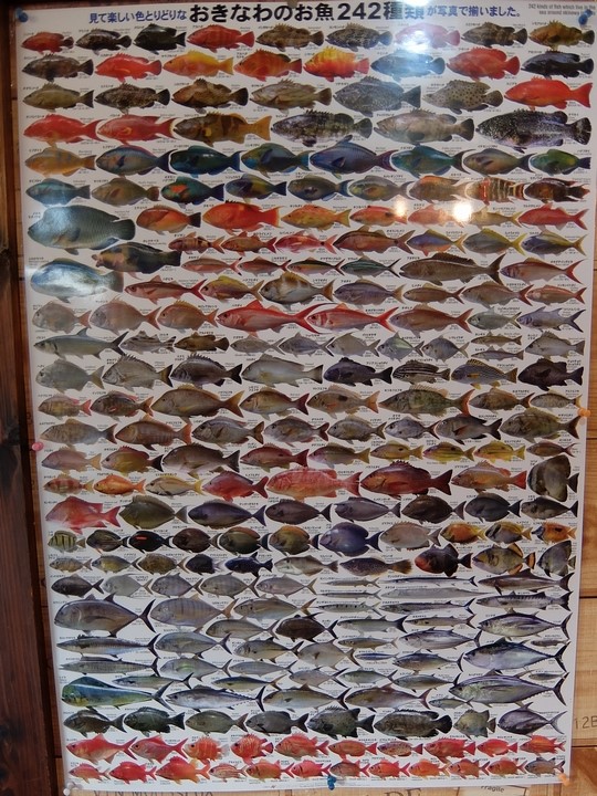 f:id:asry:20140901182730j:image f:id:asry:20140901182730j:image