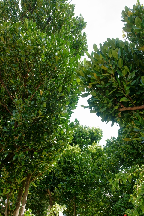 f:id:asry:20140902151231j:image f:id:asry:20140902151231j:image