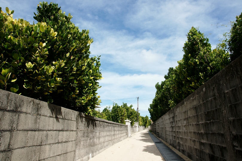 f:id:asry:20140902152556j:image f:id:asry:20140902152556j:image