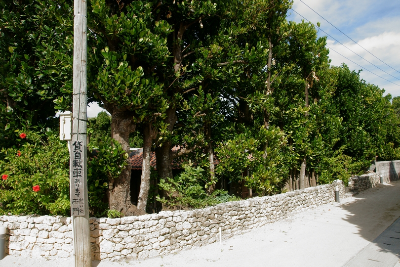 f:id:asry:20140902153534j:image f:id:asry:20140902153534j:image