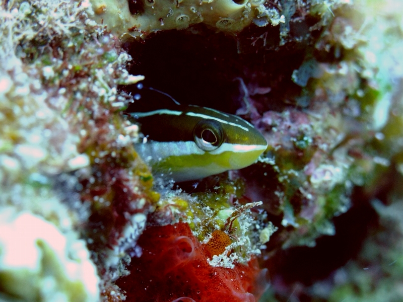 f:id:asry:20140914213251j:image f:id:asry:20140914213251j:image