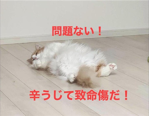 f:id:asryoma:20240901105951j:image