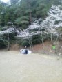 20130408084044