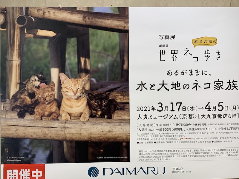 f:id:assak-karakara:20210407175230j:plain