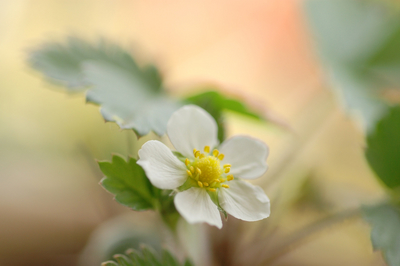 f:id:assayas:20050429135742:image