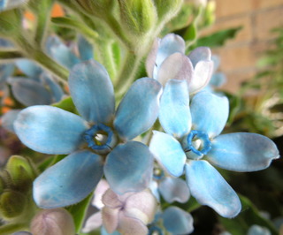 DSCN2155.JPG