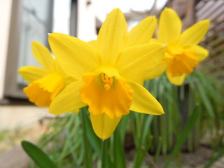 DSCN3979.JPG