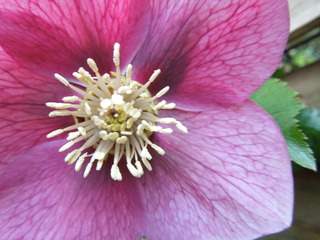 DSCN3982.JPG