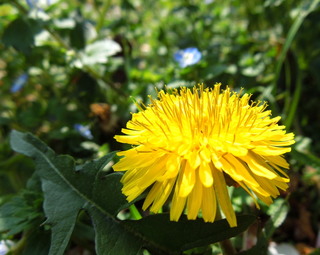 DSCN4221.JPG
