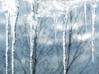 DSCN4767.JPG