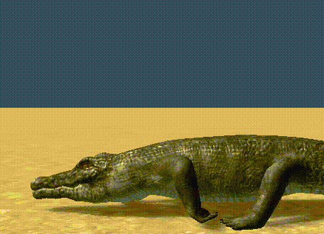Animals Full Pack 野生感がハンパない リアル 低ポリ動物3dモデル Unity Assetstoreまとめ