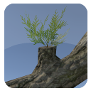 f:id:assetsale:20180614053341p:plain