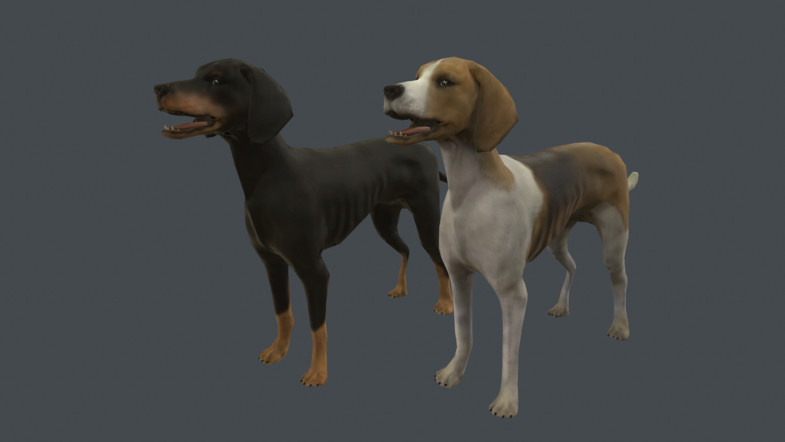 f:id:assetsale:20190422002830j:plain