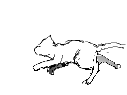 ネコ走る あらあら 日記