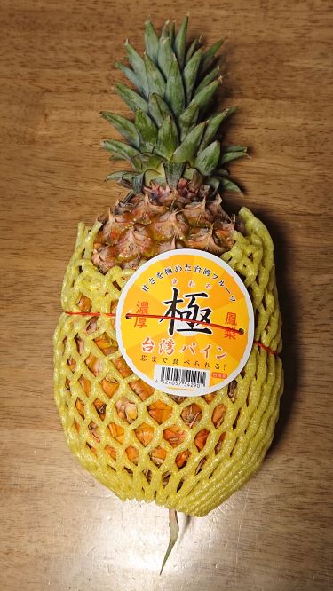 f:id:astec-blog:20210411235148j:plain