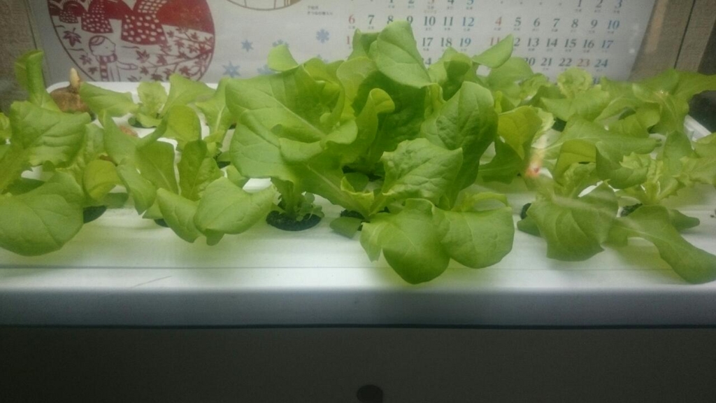 f:id:asticjapan:20161211145949j:plain