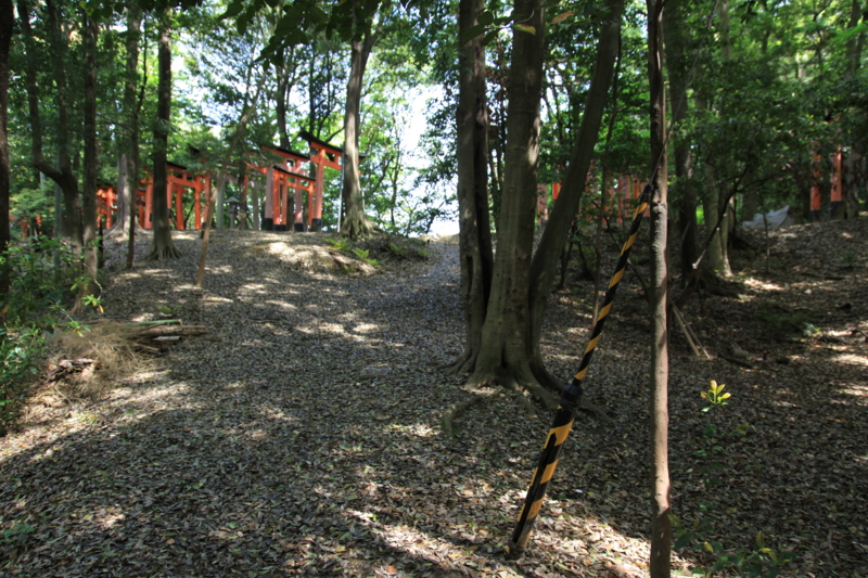 f:id:astral01:20150122021824j:plain f:id:astral01:20150122021824j:plain