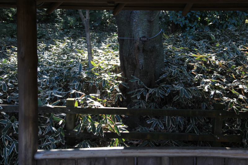 f:id:astral01:20150214011112j:plain f:id:astral01:20150214011112j:plain