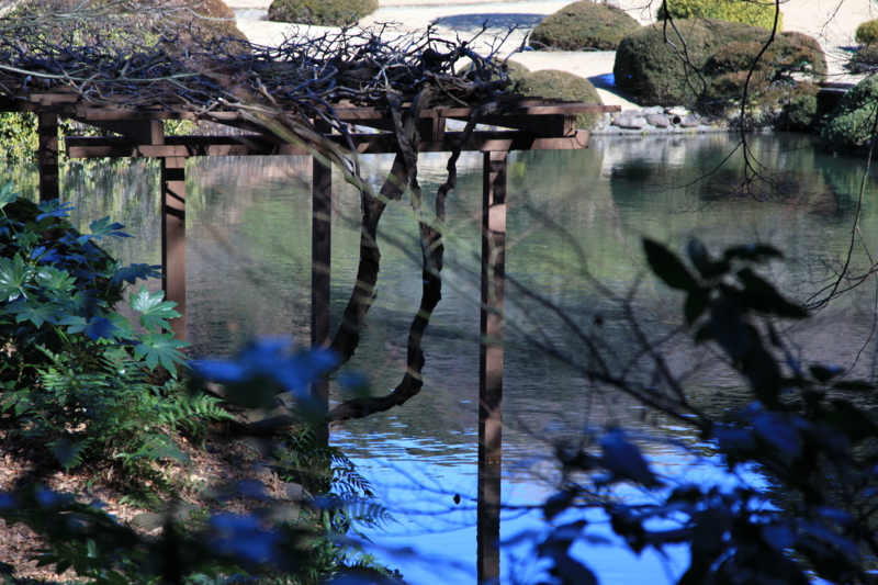 f:id:astral01:20150214013009j:plain f:id:astral01:20150214013009j:plain