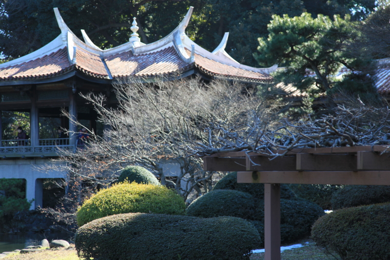 f:id:astral01:20150214013332j:plain f:id:astral01:20150214013332j:plain