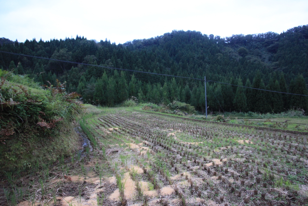 f:id:astral01:20150710223721j:plain f:id:astral01:20150710223721j:plain