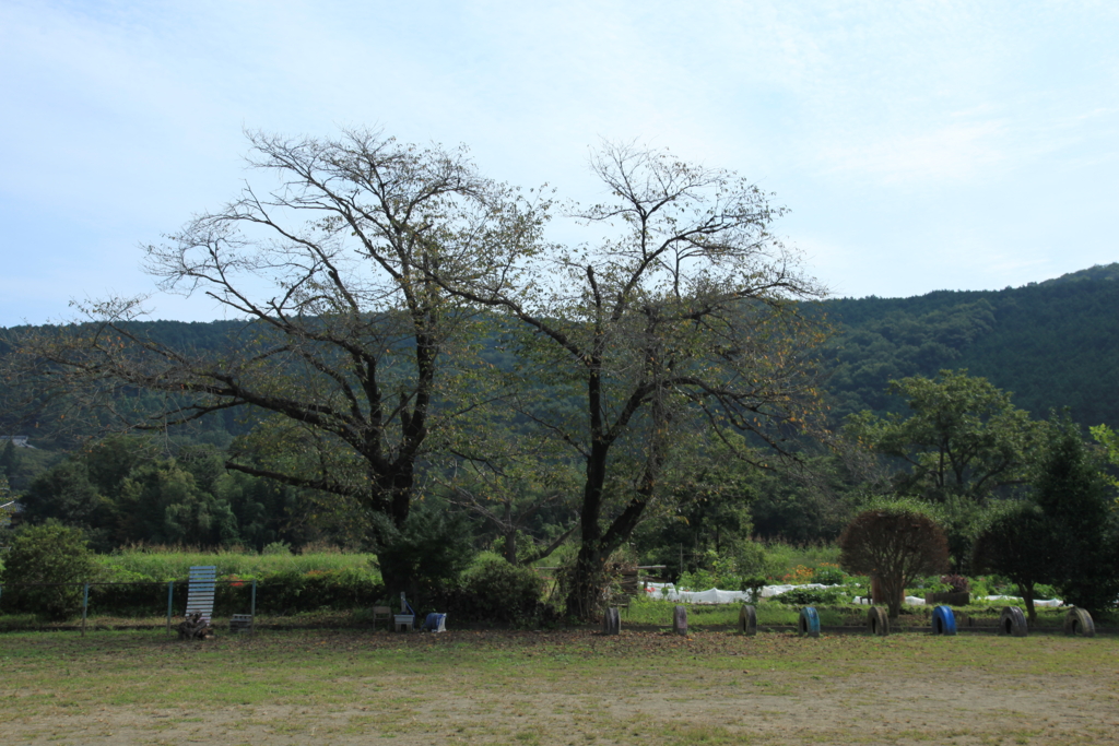 f:id:astral01:20150927222007j:plain