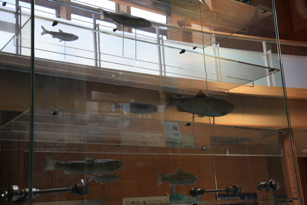 f:id:astral01:20151222232234j:plain f:id:astral01:20151222232234j:plain