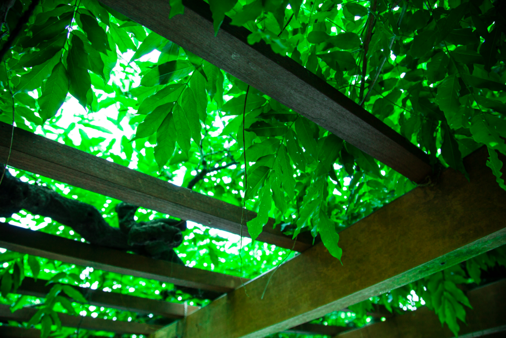 f:id:astral01:20160725000457j:plain f:id:astral01:20160725000457j:plain