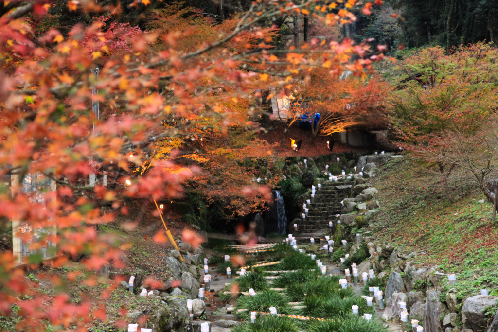 f:id:astral01:20161126230602j:plain