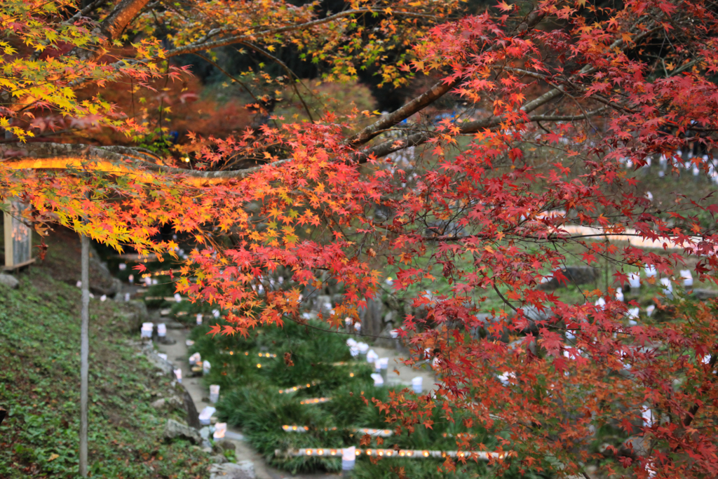 f:id:astral01:20161126230649j:plain