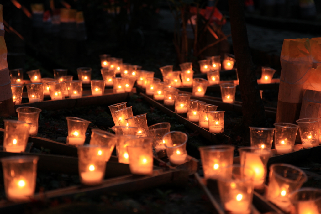 f:id:astral01:20161126231343j:plain