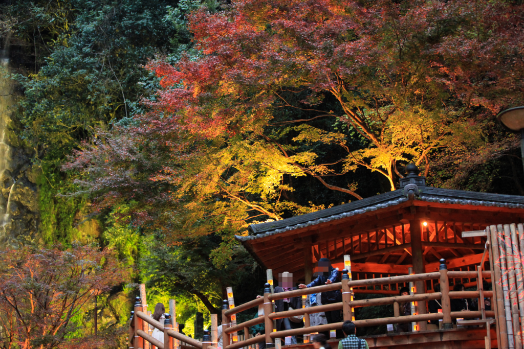 f:id:astral01:20161126232042j:plain