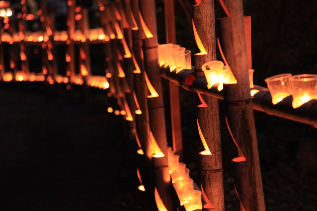 f:id:astral01:20161126233309j:plain